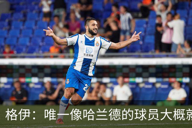 格伊：唯一像哈兰德的球员大概就是凯恩 欧战我们或许要少些激进