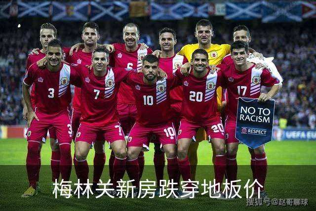 梅林关新房跌穿地板价