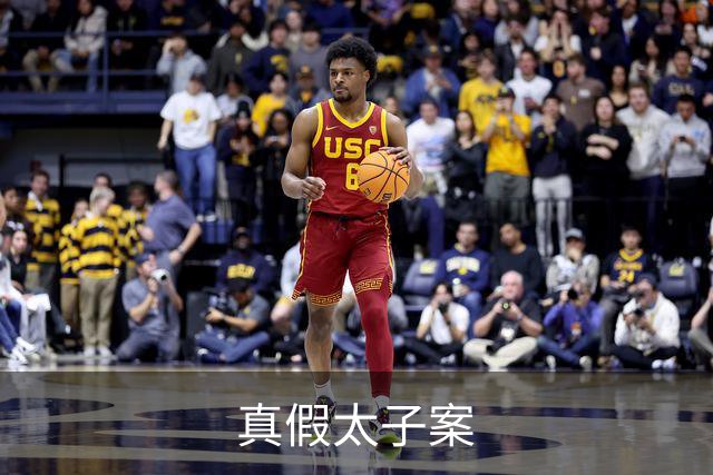 真假太子案