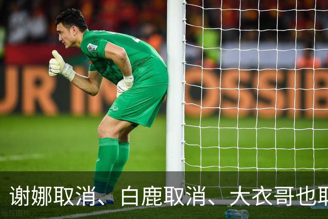 谢娜取消、白鹿取消、大衣哥也取消！只因他们踩了中国人3大雷区